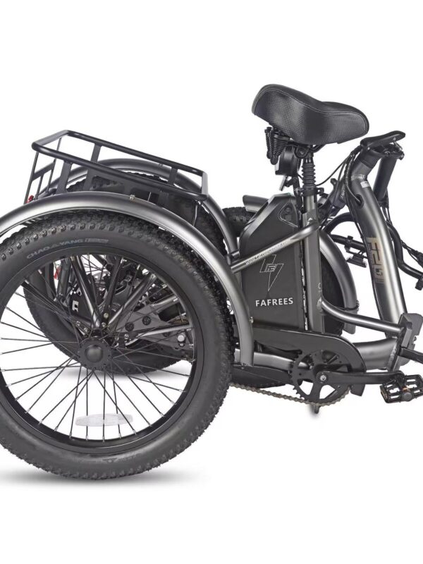 Trike cargo électrique pliant City Cycling Unisex 250W 48V 20Ah IPX5 F20 Mate