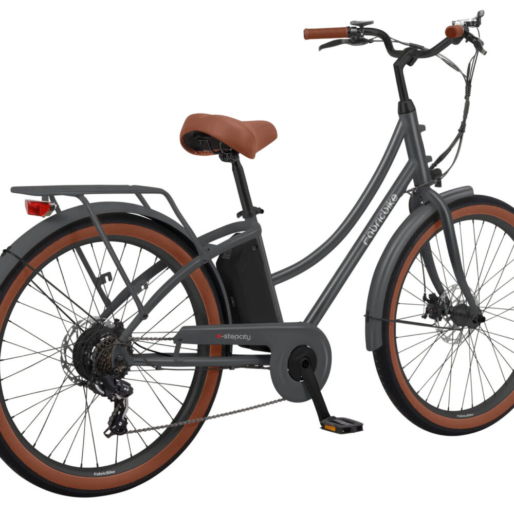 E-Stepcity Vélo Électrique – 250W, 36V, 60 km, Shimano 7V. Graphite R/Basket