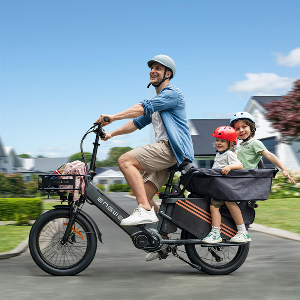 Vélo électrique ENGWE LE20 avec moteur central de 250 W,48 V, 19,2 Ah