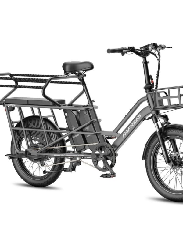 FAFREES FF20 CUV Vélo Électrique 250W 48V24Ah 20" Freins Hydrauliques Gris