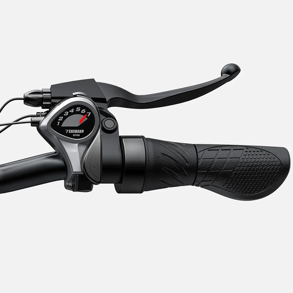 Vélo Électrique ENGWE E26 Step-thru - 250W 768WH 140KM Freins à Disque - Gris