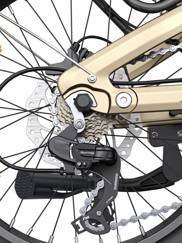 Vélo électrique pliable ENGWE L20 3.0 Boost 250 W, batterie 48 V 13,5 Ah