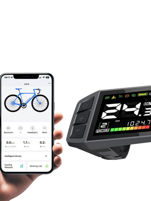 Vélo électrique adulte JOBOBIKE Astra 250 W, batterie 36 V 15 Ah