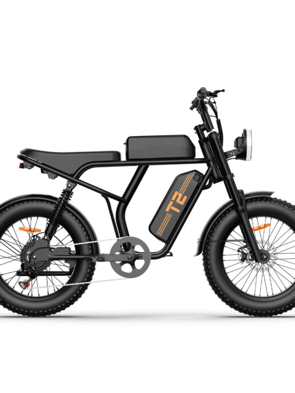 Vélo électrique URLIFE T2, moteur 250 W, batterie 48 V 15,6 Ah