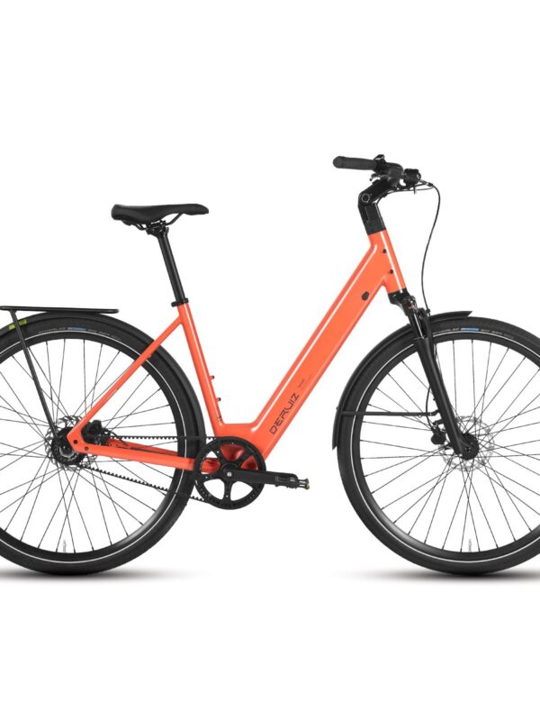Vélo électrique Turmali Comfort 250W 36V 10Ah courroie GATES