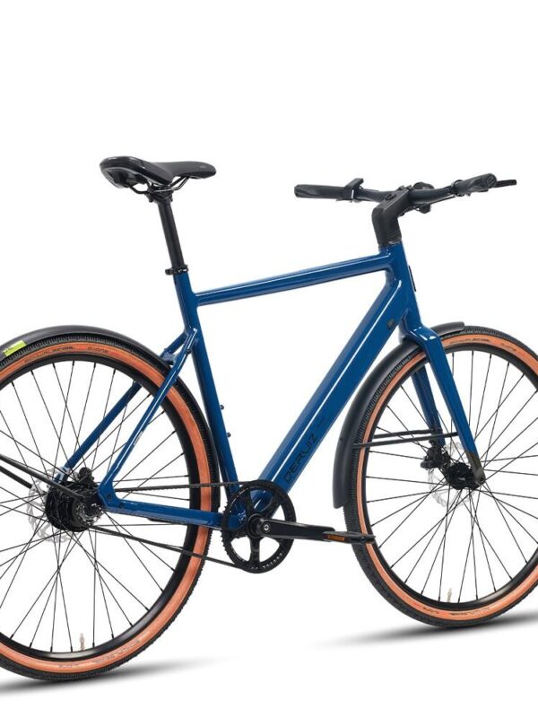 Turmali L Vélo électrique courroie 58cm 36V 250W 110km